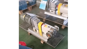 3RP stainless steel rotor pump1