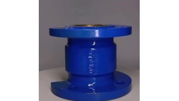Silencing check valve