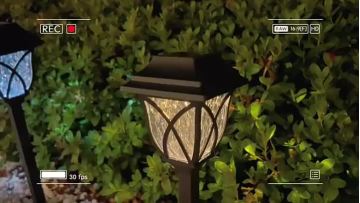 Outdoor Solar LED Lawn Light
