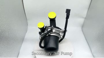 BJ-9314 Secondary Air Pump