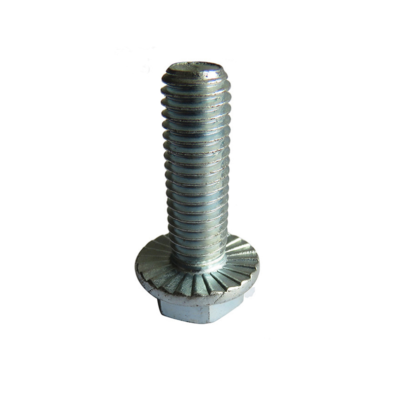 Hexagon Head Flange Bolts-3