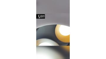 Wood Grain Decorative Round Modern Ceiling Lamp