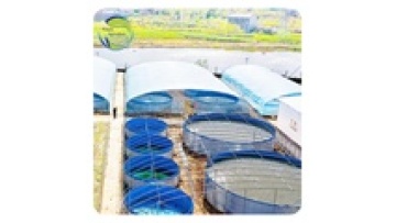 Intensive Shrimp Pisciculture and Fish Farming Equipment for Biofloc RAS Recirculating Aquaculture Systems1