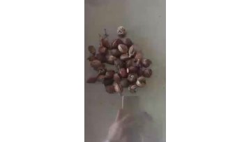Poppy seeds grinding machine