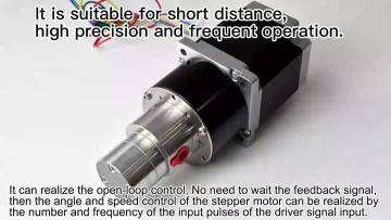 0.60cc Gear pump