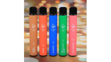 Elf Bar Disposable Vape 600 Puffs