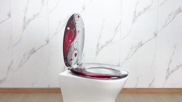 Fanmitrk Toilet Seat MDFDJ2504