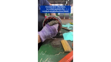 Video 1