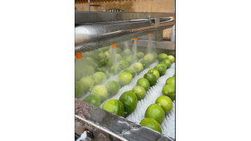 ST-GBL4000 Lemon Washing Machine