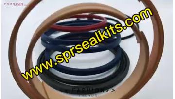 Hydraulic seal (12)