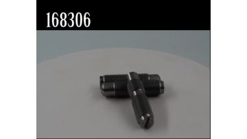 168306