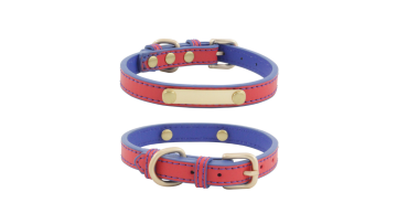 petsmart leather collar