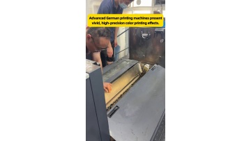 Professional shock‑proof export‑packaging preventing damage in long‑distance sea‑freight transit