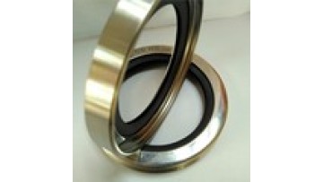 China popular stainless steel casing with a PTFE lip oil seal for sale1