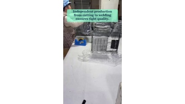 Video 33