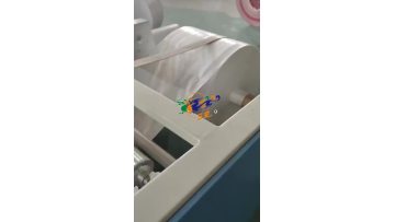 Printer With Cutting