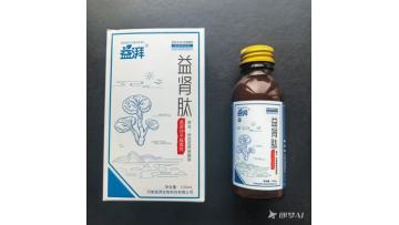 A Maine Coon cat with kidney problems is seen opening the bottle in the picture and drinking oral liquid for treating kidney disease, which is stored in a glass bottle.