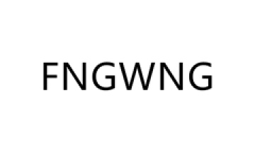Guangzhou FENGWANG Machinery Co.LTD