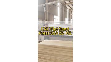 cnc_flat_sand_press_primer_sanding.mp4