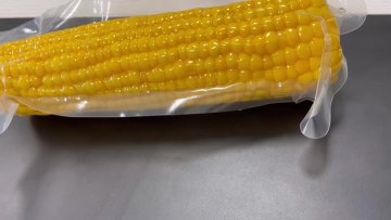 Single Packed Sweet Corn Cob