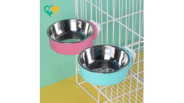 dog bowl water bottle