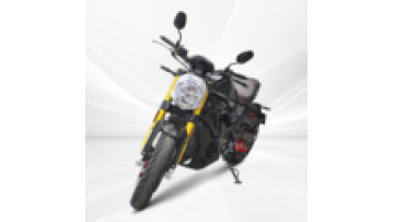 650cc 140km/h Gas Classic Vintage Cruiser gas Motorcycles Petrol Motorbike For Adult1