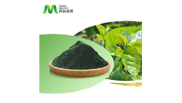 Free Sample Mulberry Leaf Extract 15% 95% Sodium Copper Chlorophyllin / Super Chlorophyll Powder In Stock1