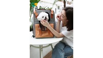 pet carrier american airlines