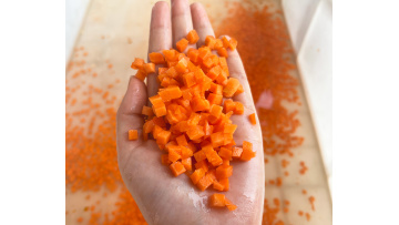 ST-QD113 Carrot dicing machines