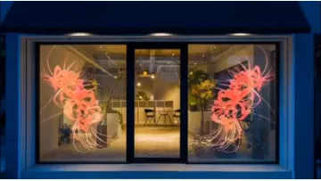 Pushunled Flexible Transparent OLED and LED Screens for Holographic Video Walls and Glass Displays1