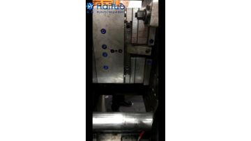 2-cavity-cup020301