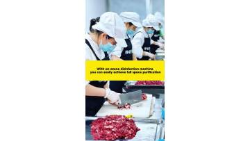 FL-N Ozone Generator Air And Surface Sterilization for Food Facilities