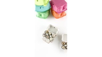 Biodegradable customize color paper pulp18 holes quail eggs packing box1