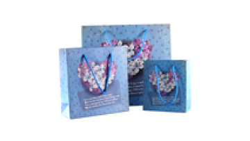 Wholesale Genuine Underwear Shoes Paper Bags Elux Christmas Gift Bag1