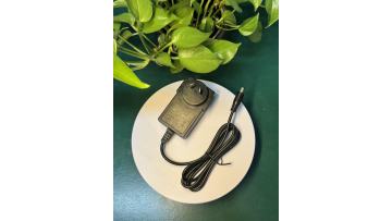 12V 5A 60W Replacement Power Adapter
