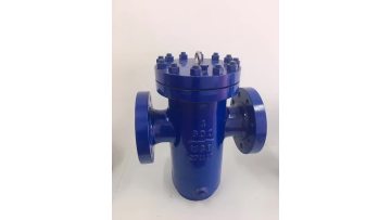 Basket Type Strainer