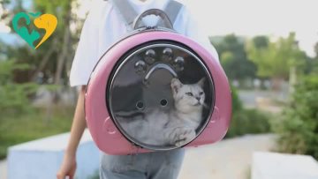 pet carrier price