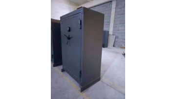 Big gun safe