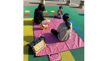 High quality foldable camping picnic beach damproof ground mat1