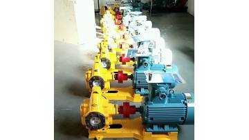 Stainless steel gear pump food safety pump pressure pump1