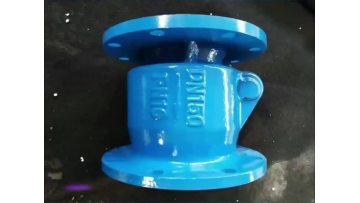 New Type Check Valves