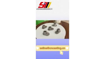Lost Wax Investment Casting