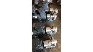 Trade Assurance KCB/2CY Lubricating oil,  vegetable oil, sunflower oil gear pump Stainless steel gear pump1