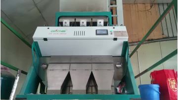 bean color sorter