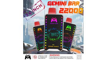 Gemini Bar Vape 22000