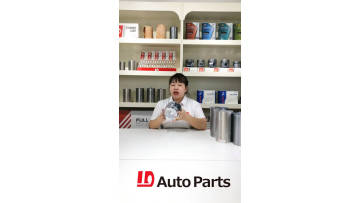 1D brand Piston video