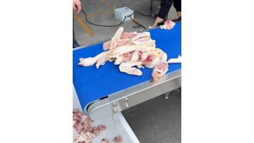 ST-DH300 Chicken cutting machines