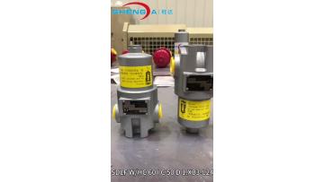 Low Pressure Inline Filter SDLF 60 