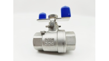 Stainless Steel Full Port Floating Thread