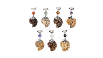 Silver Ammonite Pendant Necklace 70cm  Brown Rope SP0367S